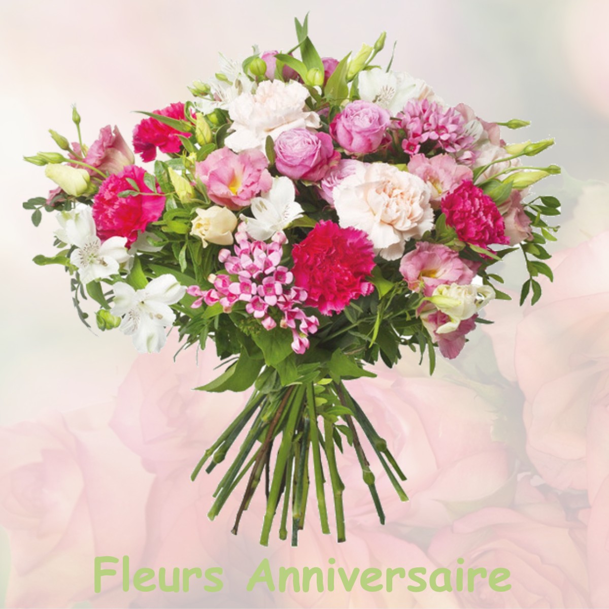 fleurs anniversaire VILLENEUVE-D-ALLIER
